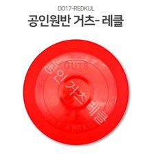 초등플라잉디스크