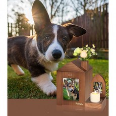 메모리얼장식장