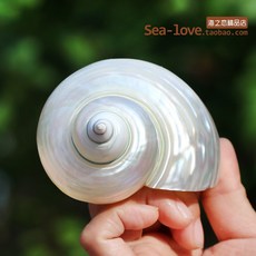 5cd5fcf0a81ec952779ba1a4a0d7d99249ed3c905de4087a7804a2e89ee8.jpg