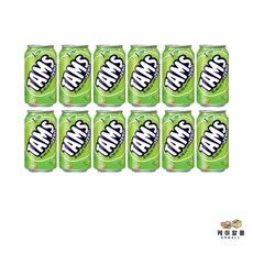 탐스 제로 사과키위향 355ml, 12개