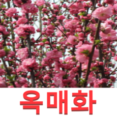 알사탕뮤지컬창원예매