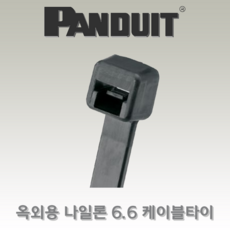 팬듀이트