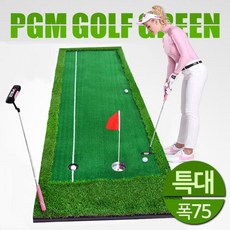 PGM 실내 골프 퍼터연습기 퍼팅 매트 인버디 필드 연습 PGM 인버디 골프 그린+nn;uf*, {-구성:상품선택-}