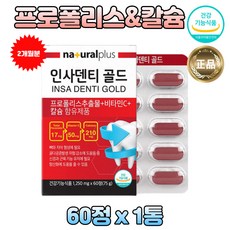 플라보노이드 노인 입속에 좋은 항산화 뼈 건강 효능 벌집 꿀벌 프로폴리스 풀라보노이드 항균 향균 입속 천연 슈퍼푸드 폴라보노이드 프로풀리스 아연 입 신진대사 활성 활력 활성 산소
