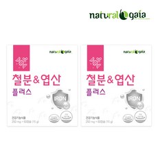 철분앤엽산플러스 철분 비헴철 엽산 엽산보충용, 2개, 60정