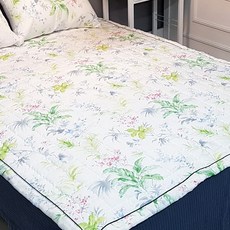 팔라우