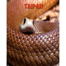 Taipan: Fun Facts & Cool Pictures Paperback, Independently Published, English, 9798563239401