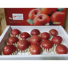 씨에프 충주 아침사과 선물용 10kg, 10KG (37~40과)