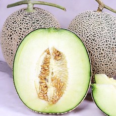햇 과일 국내산 멜론 머스크메론, 1통, 4kg