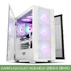 darkFlash DLX21 RGB MESH 강화유리 (화이트)