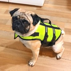 강아지구명조끼 수영복 고양이 소형견 튜브 라이프, 1개, 녹색 5XL-가슴둘레 75-80cm