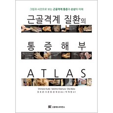근골격계 질환의 통증 해부 ATLAS(그림과 사진으로 보는 근골격계 통증과 손상의 이해), Shintaro Kudo 지음, 신흥메드싸이언스