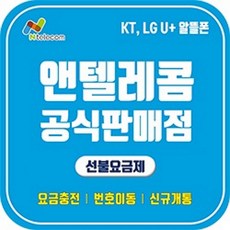앤텔레콤 SK KT LG 선불유심 편의점 다이소 선불폰 개통 한국 알뜰폰 요금제 데이터 무제한 유심칩, KT선불요금제(KT정지폰 개통불가), 네이버인증서