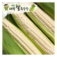 [명가일품] [모모네] 괴산 대학 찰옥수수 30개 (개당17cm이상), 상세 설명 참조, 상세 설명 참조