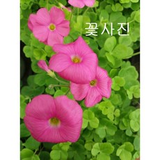 e6f29c8a47e1342a3fd38d4bbf8ff25a20b76d3d9eefad4dadcdadc75bea.jpg