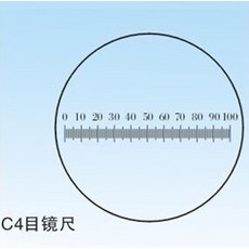 088e11cdeb41060f7266c7f3f54aed7eeb1f6c0bdb2c4da59c92b17656b4.jpeg