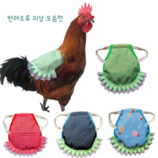 따뜻한 반려조류 의상 선물 기념일 기념품 반려동물, 1개, 빨강산타