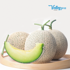 밸리팜 초이스밸리 머스크멜론, 1박스, 1.6kg(1구)