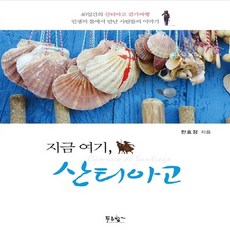 NSB9788967820268 새책-스테이책터 [지금 여기 산티아고]---푸른향기-한효정 지음-한국에세이-20151109 출간-판형 140x200-32, 지금 여기 산티아고