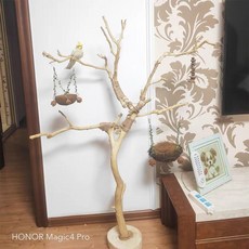 횟대 횃대 앵무새 스탠드 장난감 조류 놀이터 사다리, 길이는 70cm, 1개