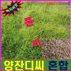 잔디씨앗/법면.비탈면토사 방지 -씨앗 3kg (약30평용), 상세페이지 참조
