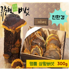 친환경인증 국산 상황 버섯 명품 상황버섯균사체 원물 베타글루칸 상황버섯차 100% 뽕나무 목질진흙버섯 종류 펠리누스린테우스 먹는방법 끓이는법 효능 무농약 류충현약용버섯 면역 365, 1세트, 300g