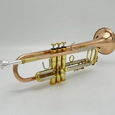 트럼펫 야마하트럼펫 호환 입문용 관악기 TR EM2 MK2 은도금, 고급 인동, 1개