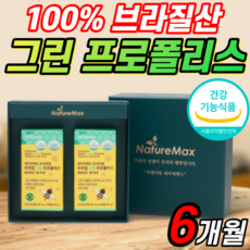 100% 브라질 산 그린 프로폴리스 초록 bee propolis 아르테필린C 아연 초록색 프로플러스 캡슐 알약 모양 부모님 프로폴리 프로 플로 펠리스 폴스 포리스 추출물 영양제 정, 1개