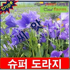 75f1485c1f2e675c7c5f0d3562ef4ca049b6ed3e822de66fb0152d875d79.png