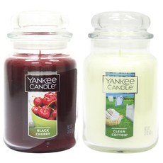 양키캔들라지자1+1