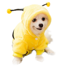 놀아보개 꿀벌 강아지 후드티 의류 옷