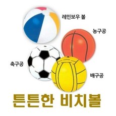색동비치볼