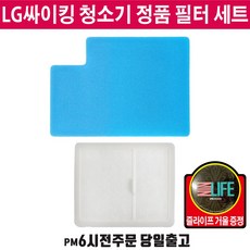 LG정품 싸이킹 청소기 모터보호 필터 세트 K73 K83 VK +즐라이프 거울, 1개