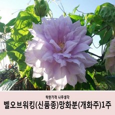3f8565add4c07b2f97ff8a506df780c0152aff2aaac390b65ac5755c5bf1.JPG