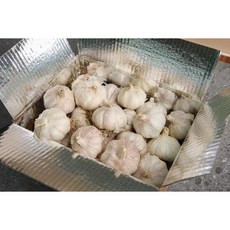조양FNG 국내산 경남 창녕 통마늘 5kg, 1개
