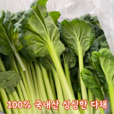 [국내산/국산] 직접재배 비타민채소 다채 500g 1kg 비타민 채소 샐러드야채 이유식재료 샐러드 야채, 1개