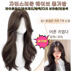 자연스러운 웨이브 롱가발 65cm 여성 통가발 웨이브 블랙/다크 /연갈색, 블랙X1, 1개