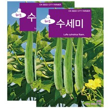 세인화분 수세미 20립 - 씨 씨앗 쑤세미, 2개