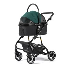 피카노리주니어