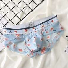 빅사이즈 남성 삼각팬티 로우 투명 망사 섹시 시스루