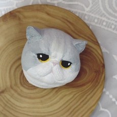 고양이얼굴몰드