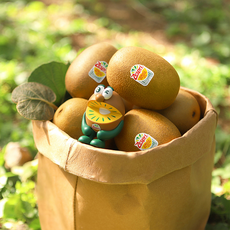 못난이골드키위 TOP01