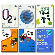 개념플러스유형3-1라이트2021유형편