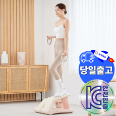 파티마 에어 스텝퍼 천국의 계단 스텝밀 스텝퍼 클라이머 가정용 하체 운동 기구 오르기, 밀키바이올렛