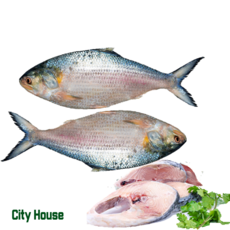 Frozen Hilsha 2pieces 1kg냉동 힐샤 피쉬 (청어) 2마리 1kg, 1개