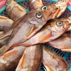 반건조볼락