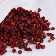 건오미자500g