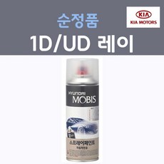 레이순정avn