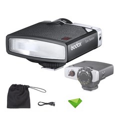 고독스룩스주니어