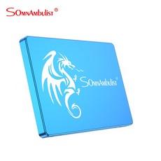 ssd 256 노트북 데스크탑용 하드디스크 Blue 2.5 SATA SSD 120GB/128gb/ 240GB/256gb 솔리드 스테이트 드라이브 480gb/512gb/960gb/2, [09] 2 테라바이트, 한개옵션1
